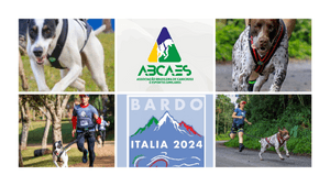 Waze e Woody no Campeonato Mundial ICF na Itália 