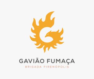 Ajude a Brigada Voluntária Gavião Fumaça a se equipar 