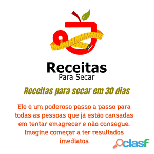 RECEITAS PARA EMAGRECER EM 30 DIAS É SEGURO?