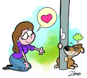 Resgate de Animais de Rua