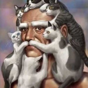 Lançamento do livro: Vidas Fakes