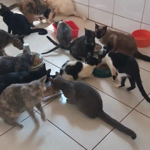 Nos ajude a continuar ajudando