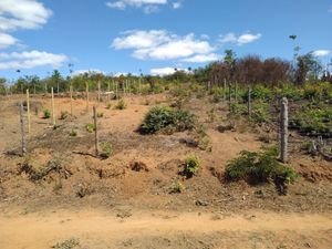 Ajude-me a fazer um casinha pra morar