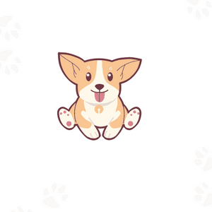 Conheça PawfectMatch - Seu Novo Caminho para Adoção de Animais de Estimação!