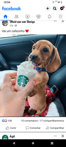 Ajude os doguinhos de rua 