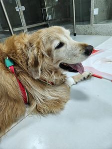 Ajude a salvar a Lua