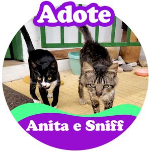 Castração Sniff e Anita