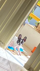 Casamento Rômulo e Tati ❤️