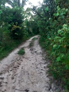 Sem limites para sonhar