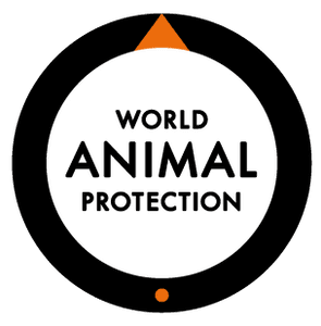 CALENDÁRIO 2025: TODO DIA É ANIMAL - Apoie Agora, Proteja Sempre