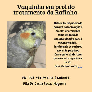 Vaquinha em prol do tratamento da Rafa 