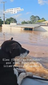 SOS PET - RIO GRANDE DO SUL