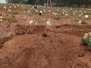 O Frio e a Fome... Mata !