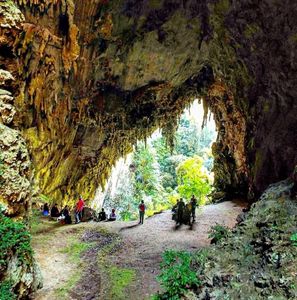 Reta final para o Petar - 6º anos em ação