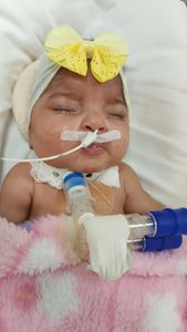 Ajudem a Maria Liz a ir para casa 