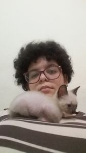 Comprando um Notebook 