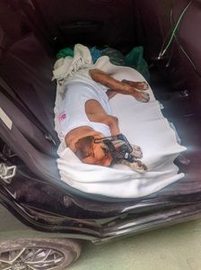 "Juntos Pela Vida da Mel: Apoie a Luta Contra um Tumor Grave na Mama"