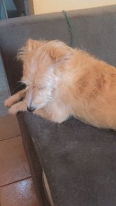 campanha para comprar passagem para viagem 