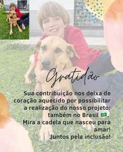 Livro infantil para promover a inclusão. Inspirado em factos reais.