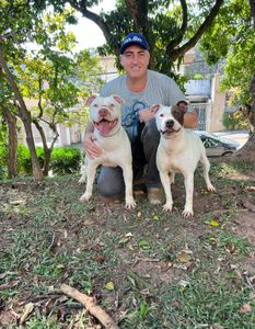 SOS |  A UNIÃO FAZ A FORÇA.