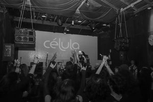 Dead Jungle Sledge - Irrational Beings (Videoclipe)