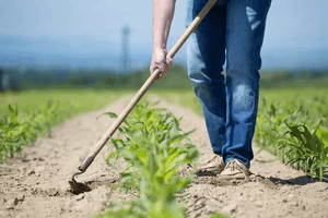 AJUDA PARA MEU AMIGO COMPRAR UMA ENXADA