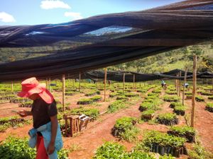 Desenvolvendo mulheres do Vale
