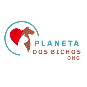 Construindo um sonho! 