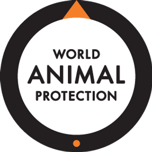 Calendário Animal 2026: Todo dia é dia de proteger o amanhã