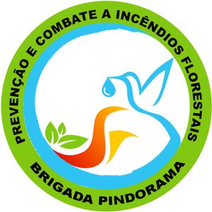 Criação da Brigada Voluntária Pindorama