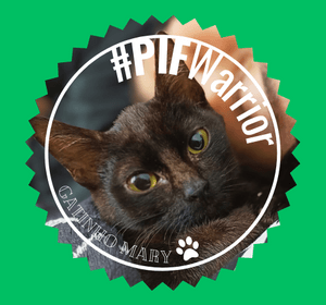 Mary - Peritonite Infecciosa Felina (PIF)