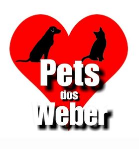 Ajude a Pets dos Weber a pagar a clínica veterinária