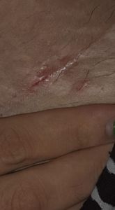 Qualquer ajuda será bem vinda 