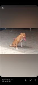 Cadeira de rodas e tratamento fisioterapia 