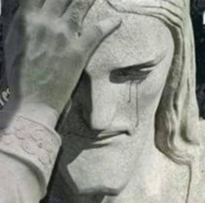 NÃO DEIXE A RIO DE NOJEIRA ACABAR!