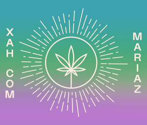 Apoie as mulheres hempreendedoras na Expo Head Grow