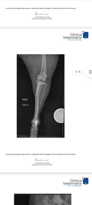 CIRURGIA DO THEO HENRIQUE 
