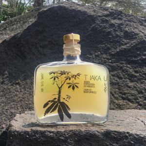 Criação do "Cauim Contemporâneo"