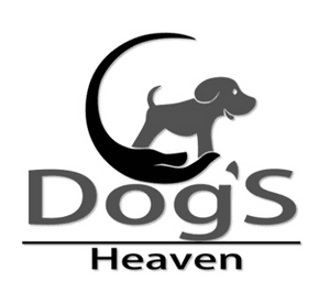 Dog’s Heaven e Você: Juntos podemos auxiliar os animais vítimas dos desastres em Petrópolis