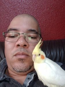 Levantar capital  de giro