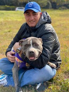 Comanche e os gauchinhos precisam de ajuda. Vamos juntos? 