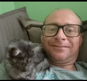 Acolhimento de gatos e cachorros