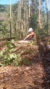 Ajude_me a evitar êxodo rural 