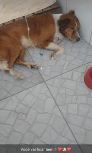 Tratamento de Chocolate 