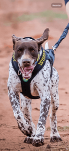 Balaco Braco no Mundial ICF com Woody