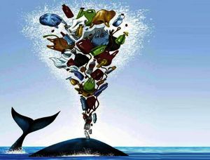 Viagem para voluntariado em causa de direitos animais