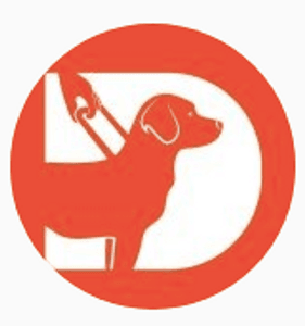 Instituto Iris: Apadrinhe um Cão-Guia!