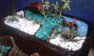 Coraçao empreendedor