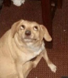 me ajude a conseguir meu primeiro pc