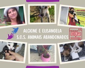 S.O.S. ANIMAIS ABANDONADOS